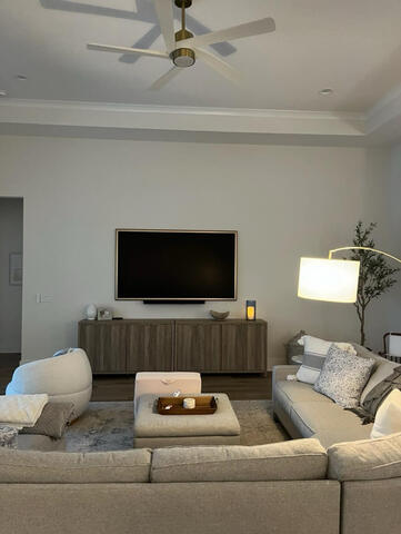 TV Dismount &amp; Remount